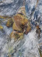 Strong Storm — original impressionist oil painting by Volodymyr Myriyevskyy, 70 × 50 cm (28″ × 20″) — photo 5